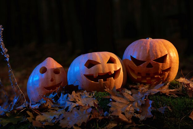 Tiro de abóboras de Halloween em uma floresta escura assustador