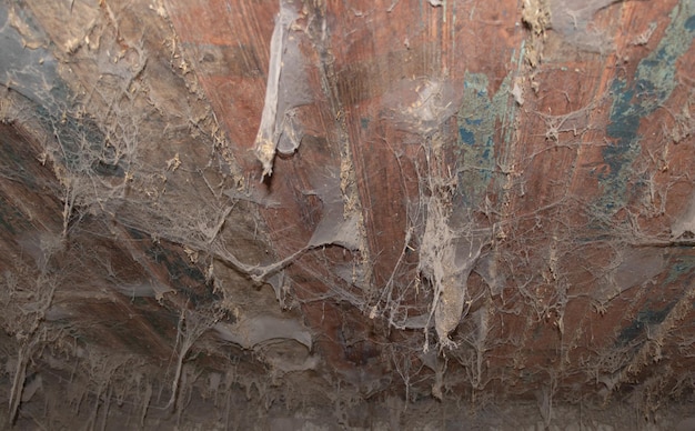 Tiro de ângulo baixo de teia de aranha no teto