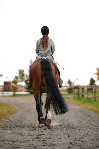 Tiro de vista traseira retrato de uma jovem bonita com um cavalo marrom montando dia de outono