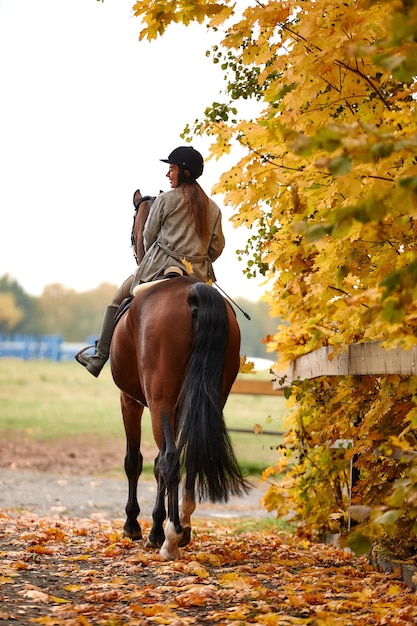 Tiro de vista traseira Retrato de uma jovem bonita com um cavalo marrom montando dia de outono