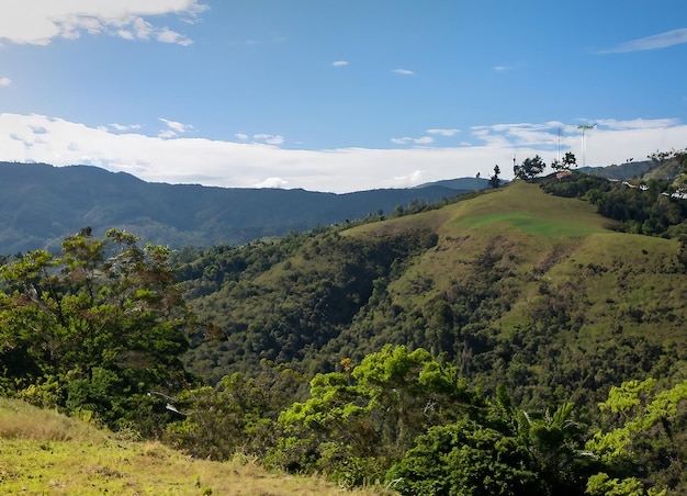 Tiro de gran angular de la naturaleza colombiana de árboles y bosques en una montaña durante el día