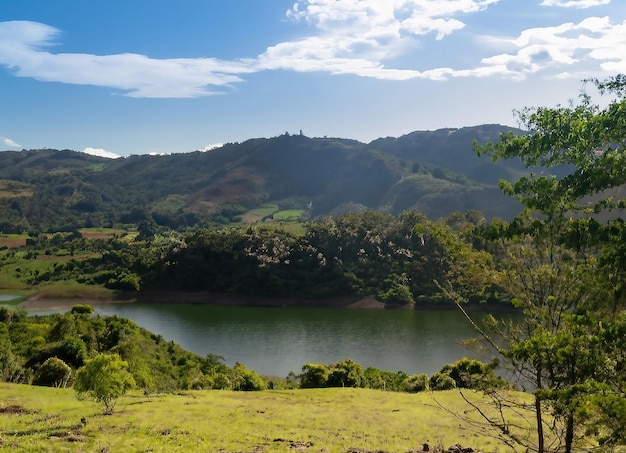 Tiro de gran angular de la naturaleza colombiana de árboles y bosques en una montaña durante el día