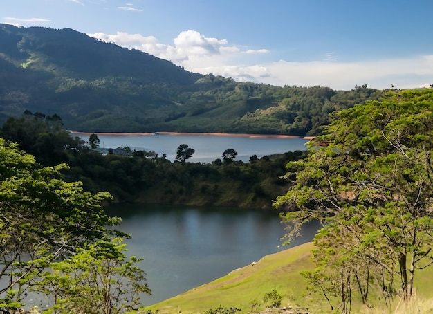 Tiro de gran angular de la naturaleza colombiana de árboles y bosques en una montaña durante el día