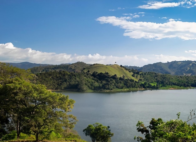 Tiro de gran angular de la naturaleza colombiana de árboles y bosques en una montaña durante el día