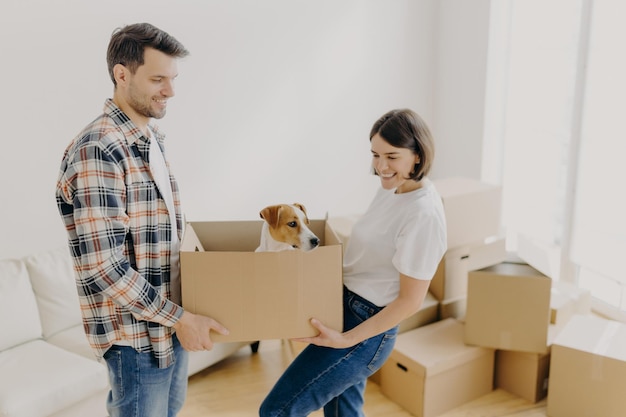 Tiro interno de caixa de transporte feminina e masculina positiva com animal de estimação favorito realocado em outro local de vida ocupado com desembalar pertences pessoais posar em quarto vazio com muitos recipientes