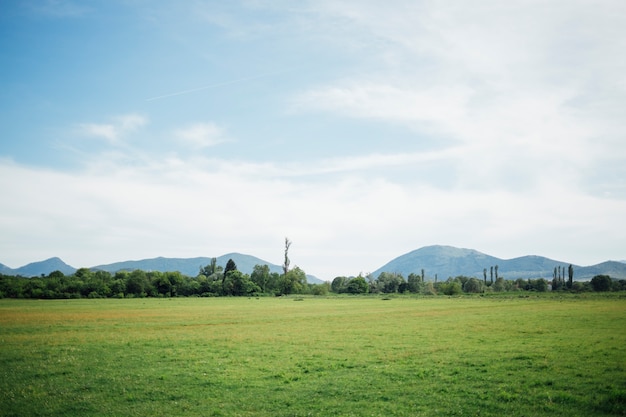 Tiro longo, de, pasto verde