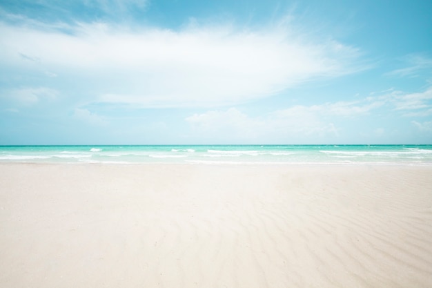 Foto tiro longo, de, tropicais, praia arenosa