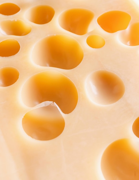 Tiro macro de textura de queijo Maasdam