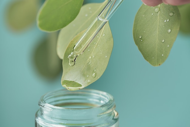 Tiro de macro de hermosa hoja y pipeta, gota de medicina cayendo en el frasco. Cosméticos naturales, orgánicos y biológicos a partir de hierbas y plantas para la piel y la salud.