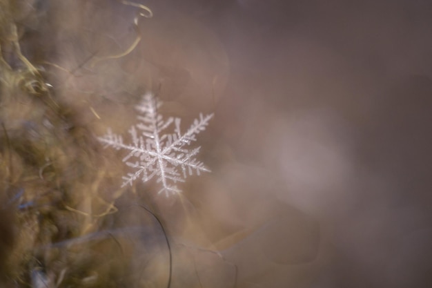 tiro macro de un pequeño copo de nieve en un paño de lana