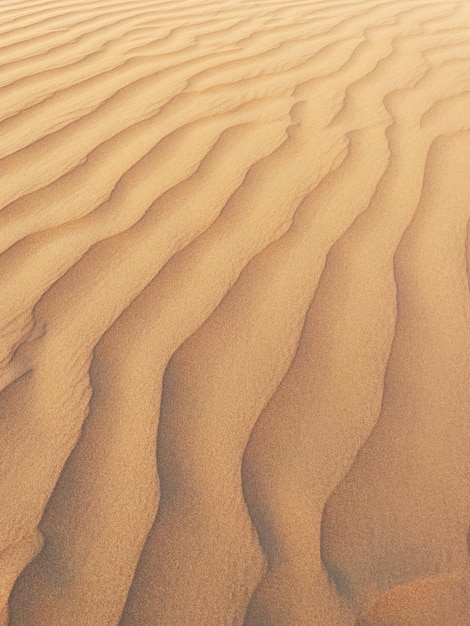 Tiro minimalista de um padrão natural no deserto