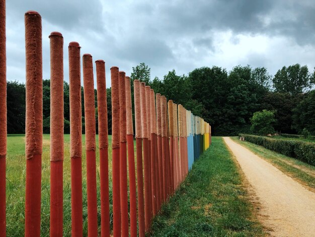 Tiro panorâmico da estrada em meio a árvores no campo contra o céu