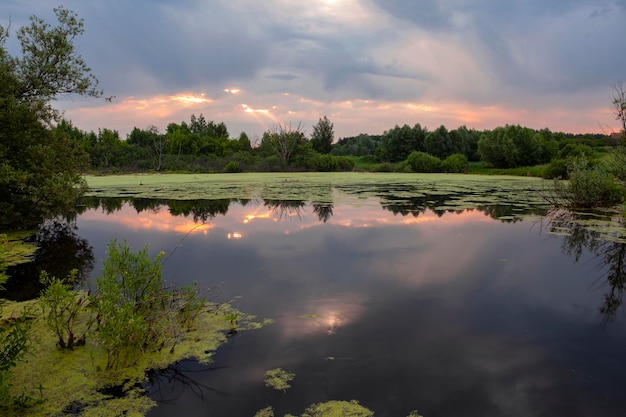 Tiro panorâmico de amanhecer em um pântano com reflexo do céu..