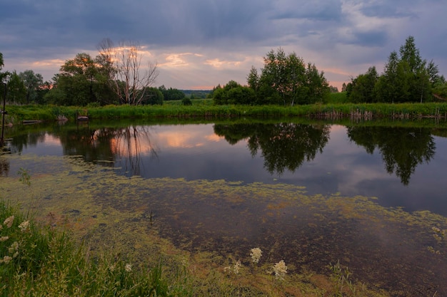 Tiro panorâmico de amanhecer em um pântano com reflexo do céu..