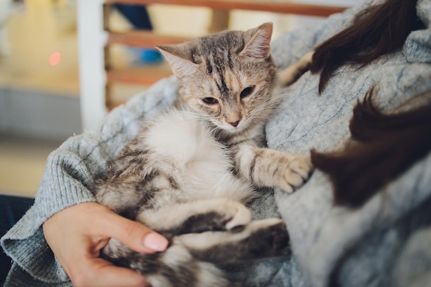 Tiro recortado de jovem segurando adorável gato tigrado nas mãos