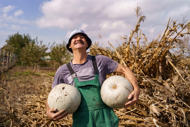 Foto tiro traseiro do agricultor autêntico homem sênior com abóboras no campo de milho