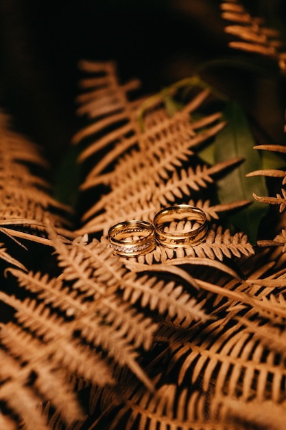 Tiro vertical de un anillo de bodas encima de una planta seca