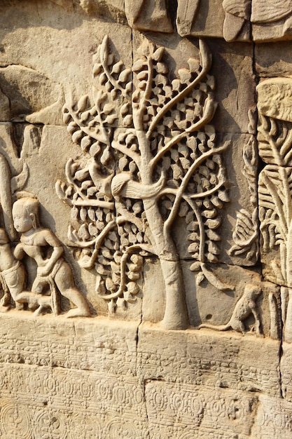 Tiro vertical de un árbol tallado en las paredes de Angkor Wat en el complejo del templo en Camboya