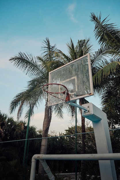 Tiro vertical de una canasta de baloncesto en una cancha rodeada de tre