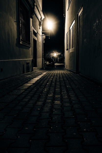 Foto tiro vertical de um beco capturado à noite em um bairro