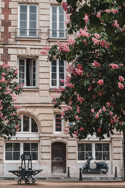 Tiro vertical de um jardim de lindas flores cor de rosa em frente a um prédio alto branco