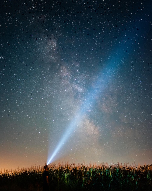 Tiro vertical de um viajante em um milharal sob o céu noturno estrelado