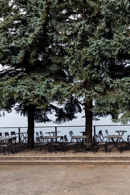 Tische und Stühle eines Cafés im Freien in einem Park unter den Pinien. Nebeliger Morgen und schöne kalte Landschaft. Ruhe und Verpflegung während der Wanderung. Vertikal.