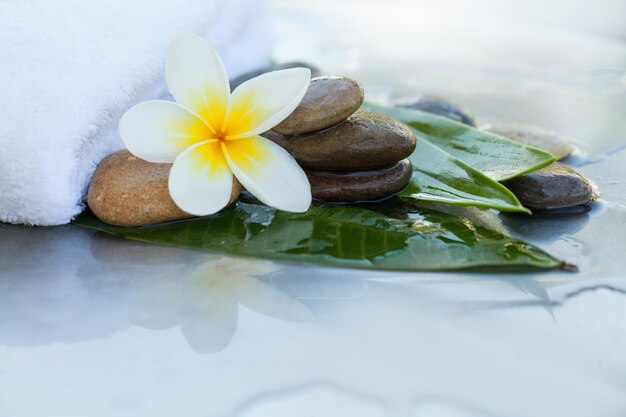 Toalla flor piedras y hojas para masaje