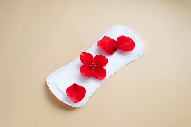 Toalla sanitaria de mujer con flores rojas. Concepto social abstracto del período menstrual de la mujer y la salud de la mujer.