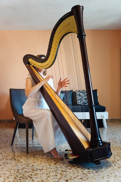 Tocando un arpa Orquesta sinfónica Mujer arpista