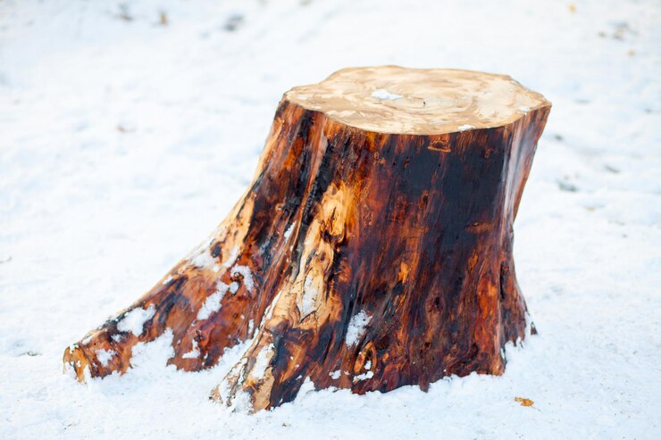 Tocón de árbol decorativo en el parque en invierno