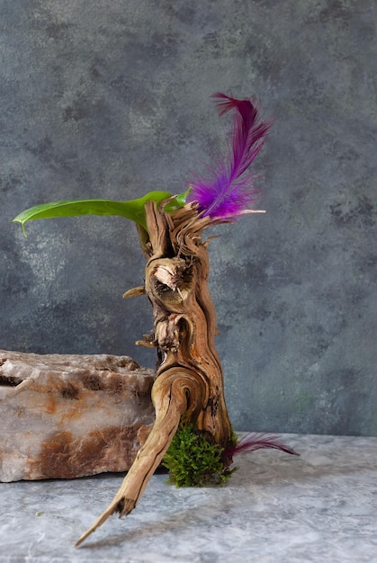 Un tocón de árbol con una pluma morada en el centro.