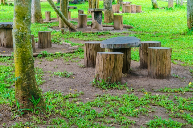 Tocones asientos en el parque, muebles de jardín de madera de registro