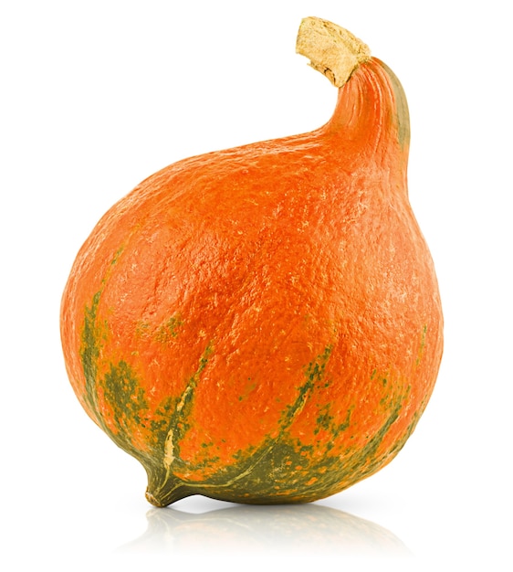 Toda una calabaza naranja sobre fondo blanco aislado