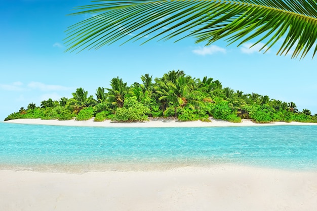 Toda la isla tropical dentro de un atolón en el Océano Índico. Isla subtropical salvaje y deshabitada con palmeras. Arena en blanco en una isla tropical.