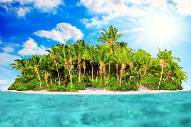 Foto toda la isla tropical dentro de un atolón en el océano tropical en un día de verano. isla subtropical salvaje y deshabitada con palmeras. parte ecuatorial del océano, resort de isla tropical.