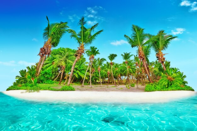 Toda la isla tropical dentro de un atolón en el océano tropical. Isla subtropical salvaje y deshabitada con palmeras. Parte ecuatorial del océano, resort de isla tropical.