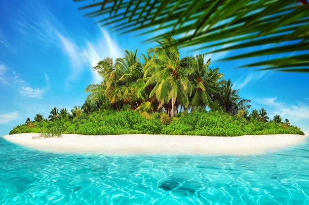 Toda la isla tropical dentro de un atolón en el océano tropical. Isla subtropical salvaje y deshabitada con palmeras. Parte ecuatorial del océano, resort de isla tropical.