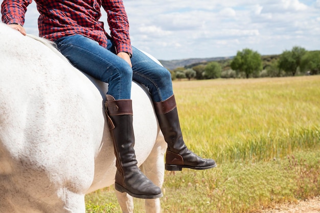 Foto toda la longitud de un caballo en el campo