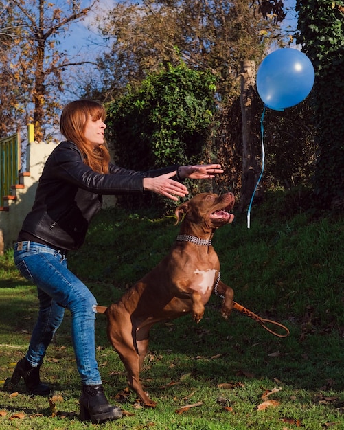 Foto toda la longitud de un perro