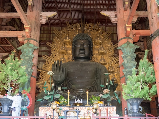 Todai-ji-Tempellandschaft in Nara, Japan.