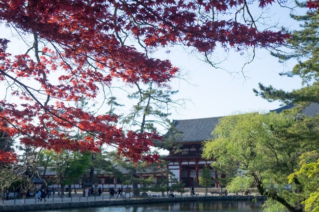 Todai-ji-Tempellandschaft in Nara, Japan.