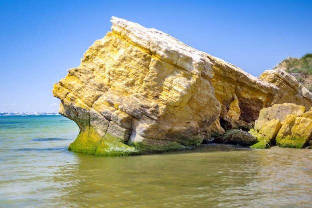 Todavía orilla de mar con agua azul y piedras. Piedras de algas cubiertas de musgo en la playa volcánica.