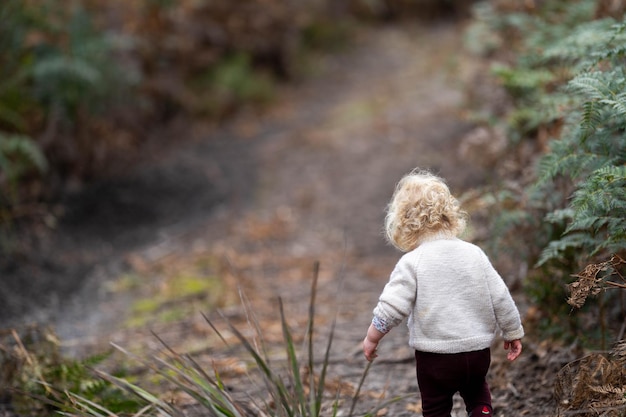 todder loira andando em uma floresta em uma caminhada na primavera em um parque nacional