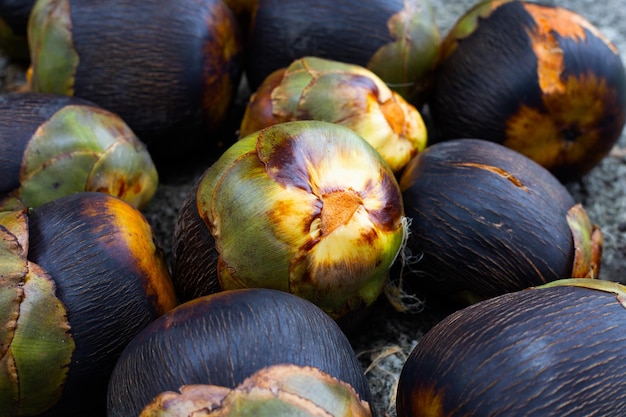 Toddy palm fruit ou palmyra palm