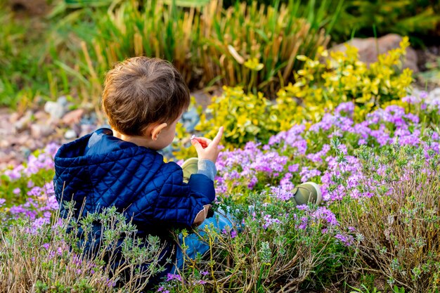 Todler pequeno que joga com flores no jardim