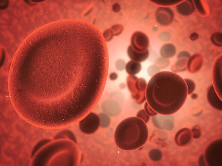 Foto todo está en la sangre vista microscópica de los glóbulos rojos en el cuerpo humano