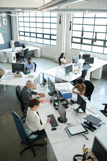 Foto todos focados em suas tarefas foto de um grupo de colegas de trabalho sentados em suas estações de trabalho em um escritório