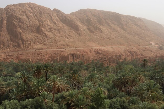 Todra-Tal und Oase in der Nähe der Stadt Tinghir in Marokko