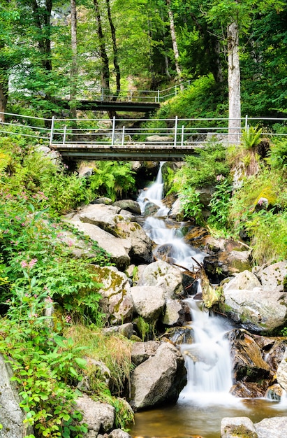 Todtnau Wasserfall im Schwarzwaldgebirge, Deutschland